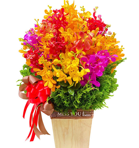 Women's Day Orchid Basket Vietnam