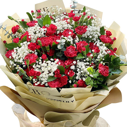 Women's Day Red Carnation Bouquet Vietnam