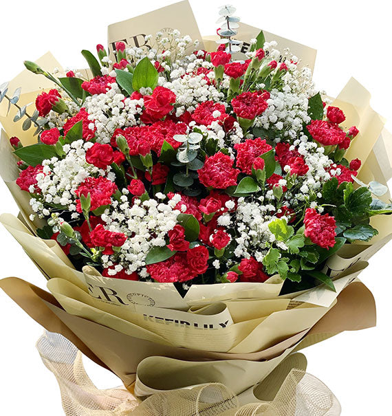 Women's Day Red Carnation Bouquet Vietnam