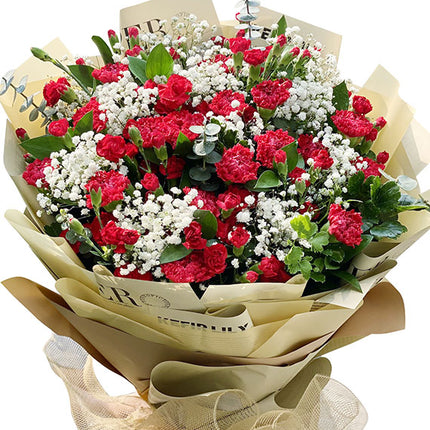 Xmas Carnation Bouquet Vietnam