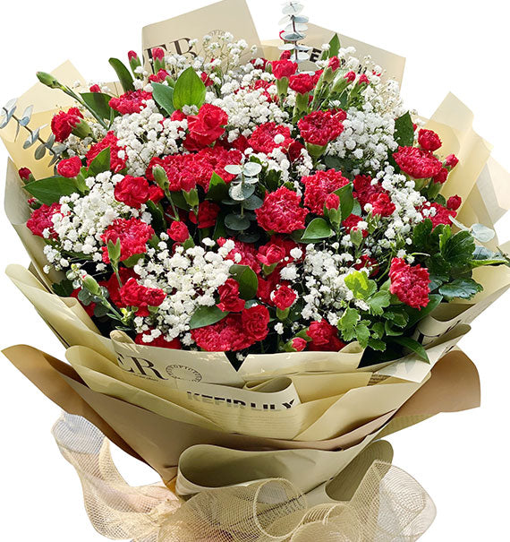 Xmas Carnation Bouquet Vietnam