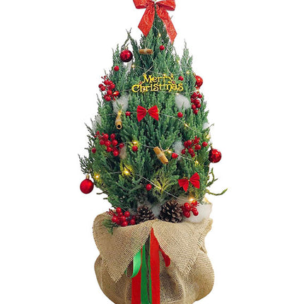 Xmas Tree Delivery Vietnam