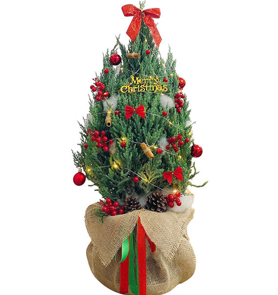 Xmas Tree Delivery Vietnam