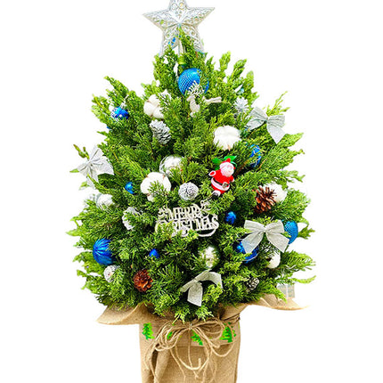 Xmas Tree With Lights Vietnam