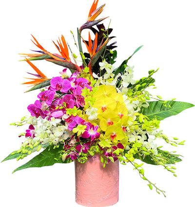 ZenBloom Office Arrangements
