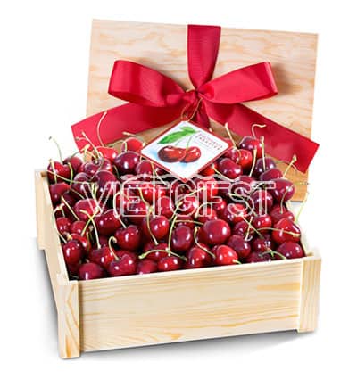 fresh cherry basket