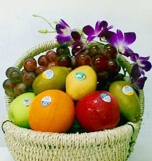 Fresh Fruit Basket #15