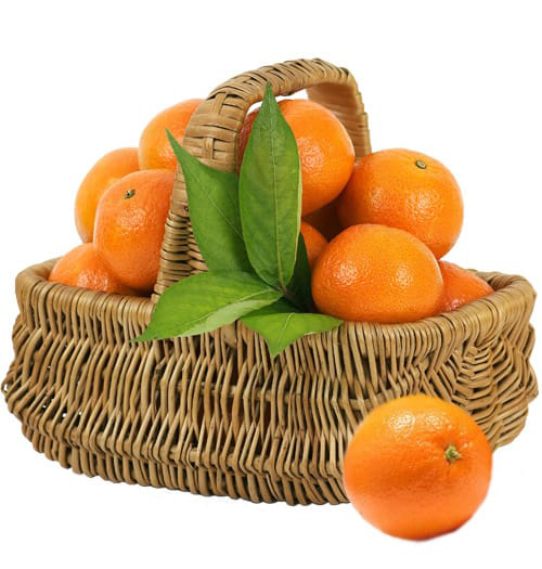 fresh-orange-basket-tet-fresh-fruit