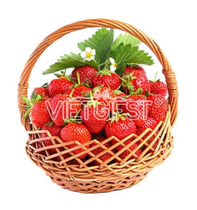 fresh strawberry basket