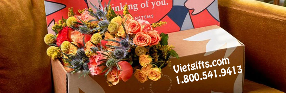 send gifts to vung tau