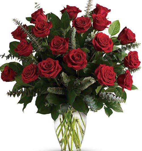 18-red-rose-in-vase