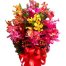 mixed-orchid-in-vase