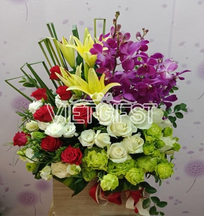 Tet Flowers 20 Out Stock – Tet