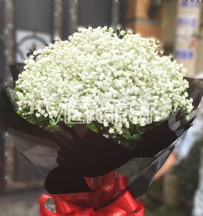 flowers for women day 01