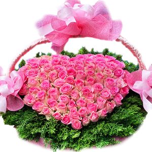 pink-petal-rose
