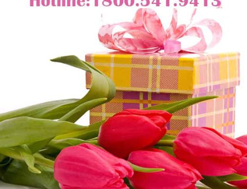 Send Gifts To Nam Dinh