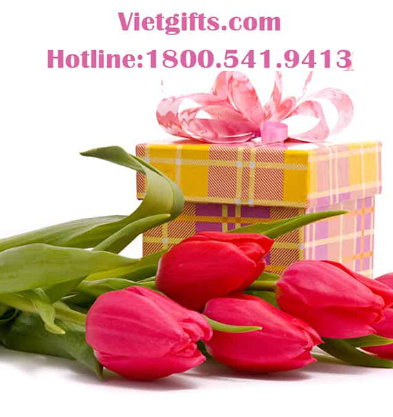 send gifts to nam dinh