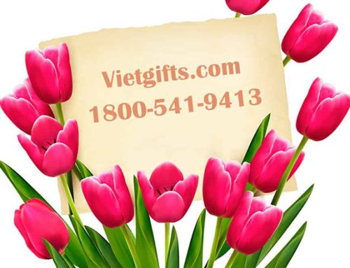 Send Gifts To Nghe An
