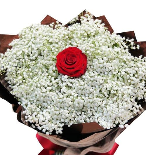 vietnam-women-day-flowes-023