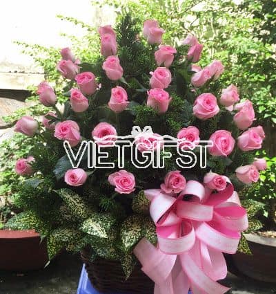 vietnamese-womens-day-roses-51