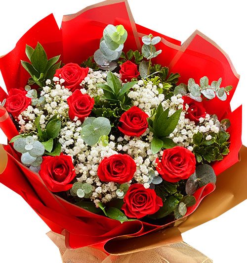 christmas-roses-003