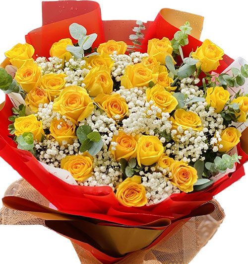 christmas-roses-015