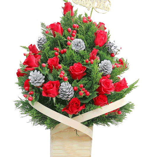 special-chirstmas-flowers-08