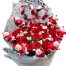 special-christmas-flowers-04