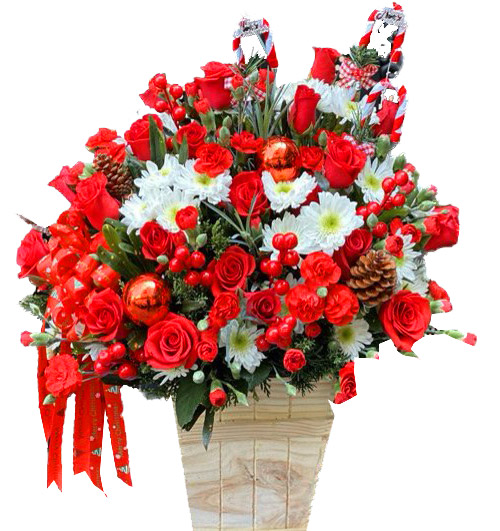 special-christmas-flowers-09
