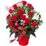 special-christmas-flowers-10