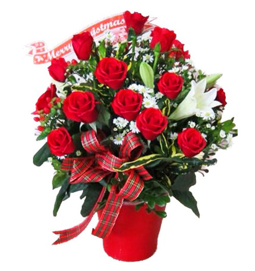 special-christmas-flowers-10