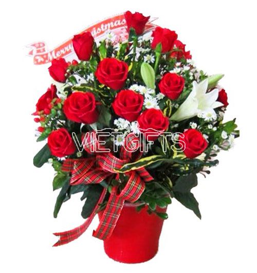 special-christmas-flowers-010