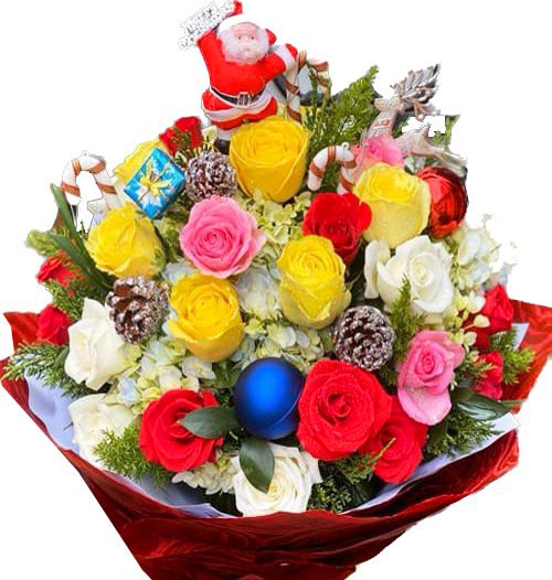 special-christmas-flowers-015