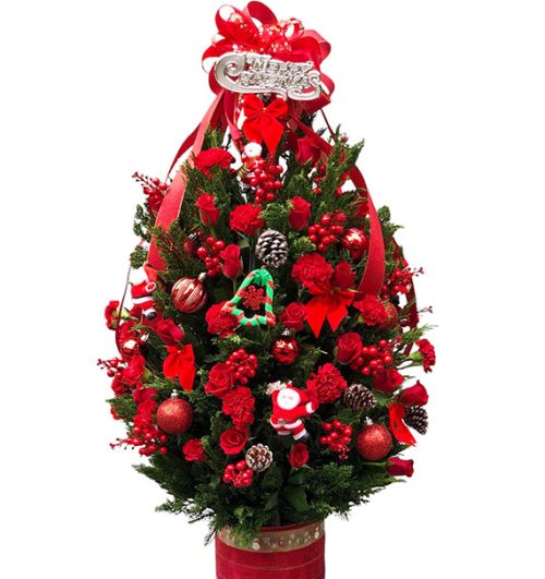 special christmas flowers vietnam 04