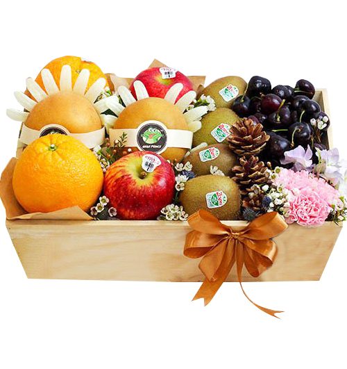 christmas-fruits-05