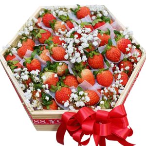 special-christmas-fruits-10