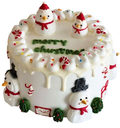 xmas cake 08