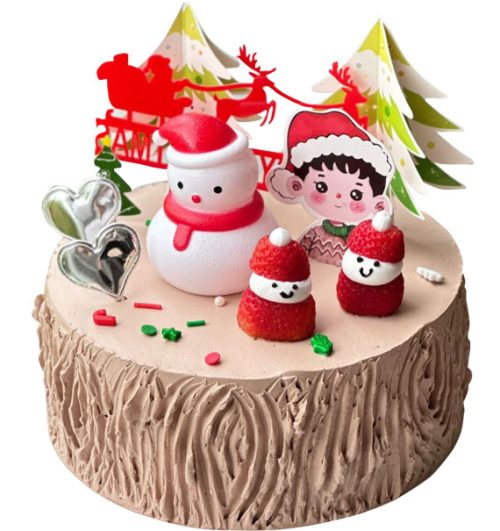 xmas cake 10