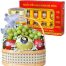 special gifts mothers day vietnam 04