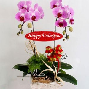 flowers-for-valentine-58