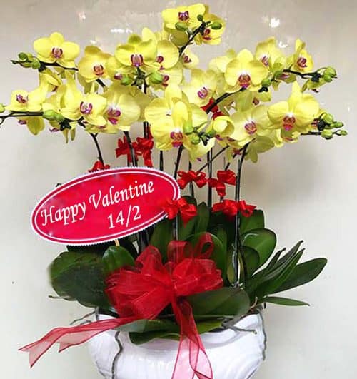 flowers-for-valentine-59