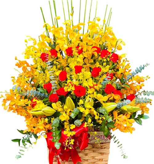 tet flowers 36a