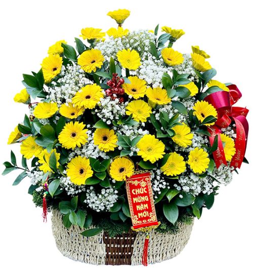 tet flowers 38a