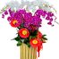 special-orchids-for-tet-018