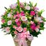 christmas flowers vietnam 19a