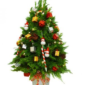 christmas-tree-017