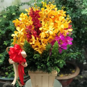 vietnamese-christmas-flowers-06