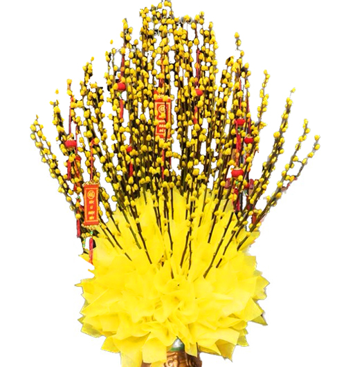 dao-tet-singapore-16m-yellow