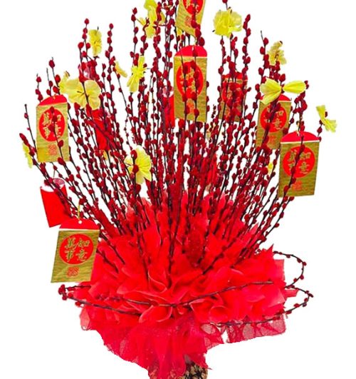 dao tet singapore peach tree 14m red 02