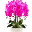 potted-orchids-artificial-flowers-03